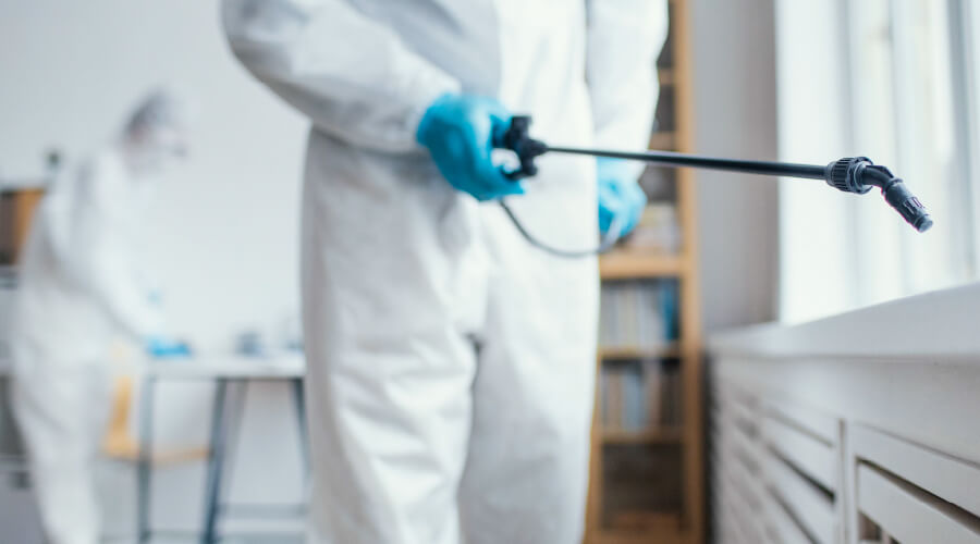 Prevención y control del dengue